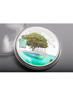 Cook Islands 2015 $10 Nano Life The Evolution Nano Chip Proof 50g Silver Coin