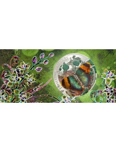 CAR 2014 1000Fr Papallones Exòtiques Butterfly Euphaedra Neophron 3D Silver Coin