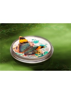 CAR 2014 1000Fr Papallones Exòtiques Butterfly Euphaedra Neophron 3D Silver Coin