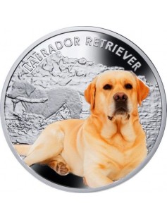 Niue 2013 1$ Man's Best Friends Dogs - Chihuahua Proof Silver Coin LIMIT 1500