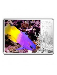 Niue 2013 $2 Tropical Coral Fish - Royal Gramma 28,28g Silver Coin