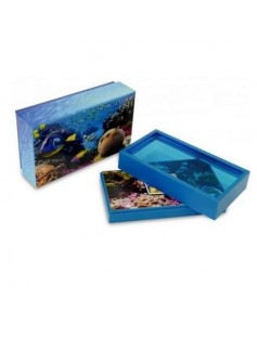 Niue 2013 $2 Tropical Coral Fish - Royal Gramma 28,28g Silver Coin