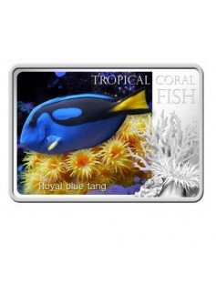 Niue 2013 $2 Tropical Coral Fish - Royal Blue Tang 28,28g Silver Coin