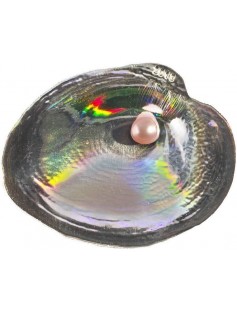 Palau 2013 5$ Sea Treasures III CYRTONAIAS TAMPICOENSIS OYSTER 3D Silver Coin