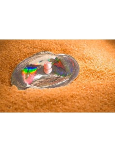 Palau 2013 5$ Sea Treasures III CYRTONAIAS TAMPICOENSIS OYSTER 3D Silver Coin