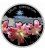 Niue 2012 1$ Lilies Lilium speciosum flower 28,28g Silver Proof Coin