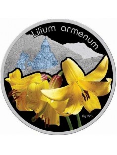 Niue 2012 1$ Lilies Lilium speciosum flower 28,28g Silver Proof Coin