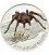Niue 2012 1$ Mexican Redknee Tarantula Spider 1/2 Oz Silver Proof Coin