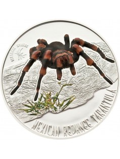 Niue 2012 1$ Mexican Redknee Tarantula Spider 1/2 Oz Silver Proof Coin