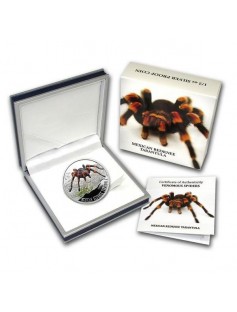 Niue 2012 1$ Mexican Redknee Tarantula Spider 1/2 Oz Silver Proof Coin