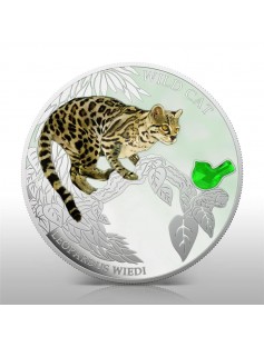 Fiji 2013 Wild Cat II LEOPARDUS WIEDI Margay Dogs & Cats 1 Oz Proof Silver Coin