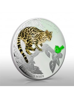 Fiji 2013 Wild Cat II LEOPARDUS WIEDI Margay Dogs & Cats 1 Oz Proof Silver Coin