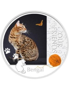 Niue 2012 $2 Our Friends Kittens - Bengal Leopardus Cat 1oz Silver Coin