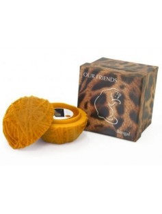 Niue 2012 $2 Our Friends Kittens - Bengal Leopardus Cat 1oz Silver Coin