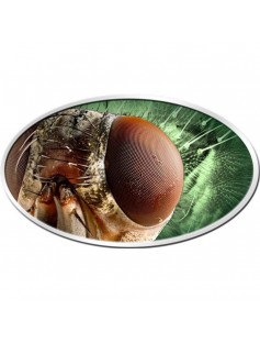 Niue 2014 $2 Housefly XL Relief 1 Oz Silver Coin with Digital Printing 5C