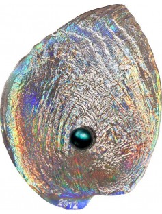 Palau 2012 $5 Haliotis Iris Pearl II Oyster 3D Shell Convex Silver Proof Coin