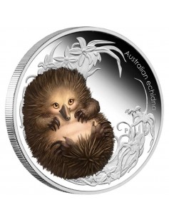Australia 2013 50ct Australian Bush Babies II Echidna 1/2 Oz Silver Proof Coin