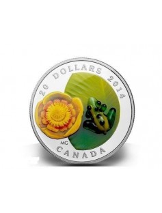 Canada 2014 20$ Water-lily Venetian Glass Leopard Frog 1 Oz Proof Silver Coin