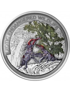 Fiji 2013 10$ High Relief PARADISEBIRD Satined Antique Finish 2 Oz Silver Coin