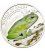 Palau 2013 $2 World of Frogs LITORIA CAERULEA Green Tree Frog 1/2 Oz Silver Coin
