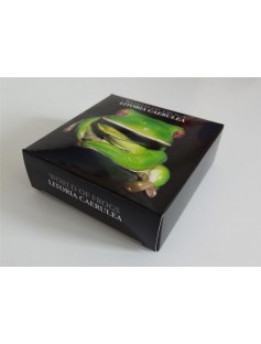 Palau 2013 $2 World of Frogs LITORIA CAERULEA Green Tree Frog 1/2 Oz Silver Coin