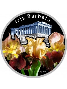 Niue - 2012 - 1$ - HAPPY IN LOVE RABBIT - Coin with Stone Insert - Silver coin