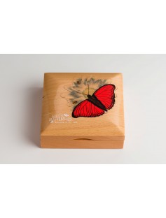 BUTTERFLY 3D Exotic Butterflies Cymothoe Hobarti Silver Coin 1000 Shillings Tanzania 2016