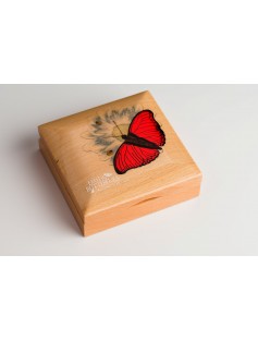 BUTTERFLY 3D Exotic Butterflies Cymothoe Hobarti Silver Coin 1000 Shillings Tanzania 2016