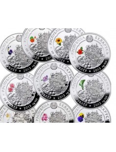 Belarus 2013 10x 10 Ruble Beauty of flowers 10x 14,14g Silver Coin Set