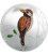 Cook Islands 2017 2$  BIRD Quilling Art Silver Coin 