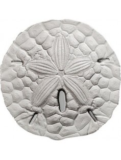 Palau 2017 1 Dollar Sand Dollar  .999 Fine 1oz.  Proof Silver Coin