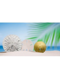 Palau 2017 1 Dollar Sand Dollar  .999 Fine 1oz.  Proof Silver Coin