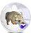 Fiji 2013 Wild Cat IV Otocolobus Manul Pallas Dogs & Cats 1 Oz Proof Silver Coin