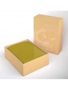 Fiji 2013 Wild Cat III Prionailurus Bengalensis Dogs & Cats 1 Oz Silver Coin