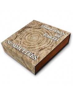 Palau 2017 $10 Dolphin & Sea Horse Marine Life Protection proof coin set Pre-Order