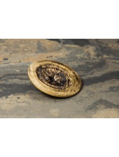 Cook Islands 2017 $2 Chergach Meteorite 1/2 oz Silver.999 Coin