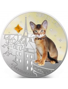 Fiji 2013 Super Cat III The Abyssinian Dogs & Cats Series 1 Oz Proof Silver Coin