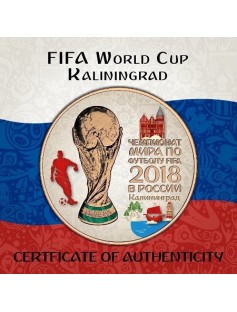 2018 Russia 3 Rubles FIFA World Cup in Kaliningrad 1 oz Silver Coin