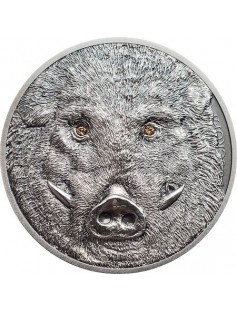 Mongolia 2018 500 Togrog Wild Boar – Sus scrofa 1 oz Silver Coin
