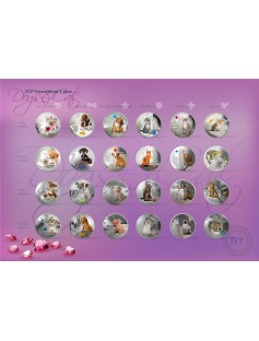 Fiji 2013 My Little Puppy III Toy Terrier Dogs & Cats 1Oz Proof Silver Coin