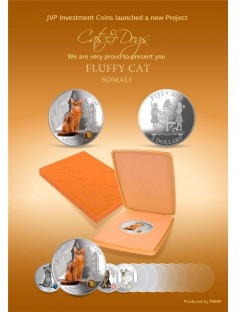 Fiji 2013 Fluffy Cat II Somali Dogs & Cats Series 1 Oz Proof Silver Coin