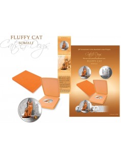 Fiji 2013 Fluffy Cat II Somali Dogs & Cats Series 1 Oz Proof Silver Coin